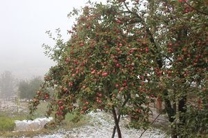 img 2839