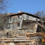 Güney Mahalle Sülaleleri img 1973