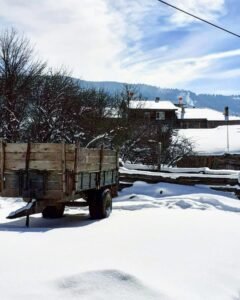 image0 (10)