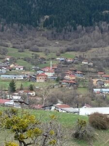 image0 (2)